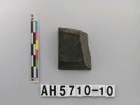 藏品(磨製石錛)的圖片